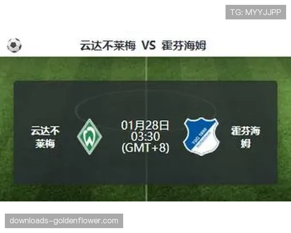 半场战报:不来梅0-0霍芬海姆,双方合计仅一次射正